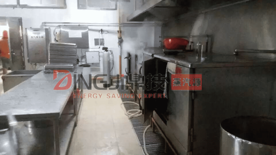 蘇州DINGJI鼎技服裝用蒸汽發(fā)生器，服裝用低氮蒸汽發(fā)生器